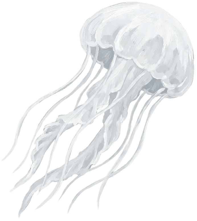 Lack of visibility on applications